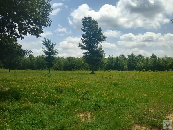 Fm 990, Simms, TX 75574