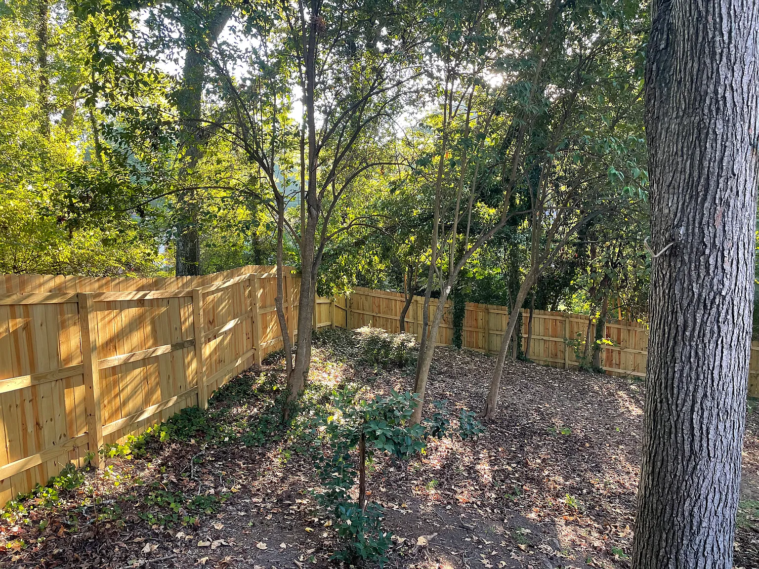 3 bed, 1181 sqft, $4,700 — Photo 2