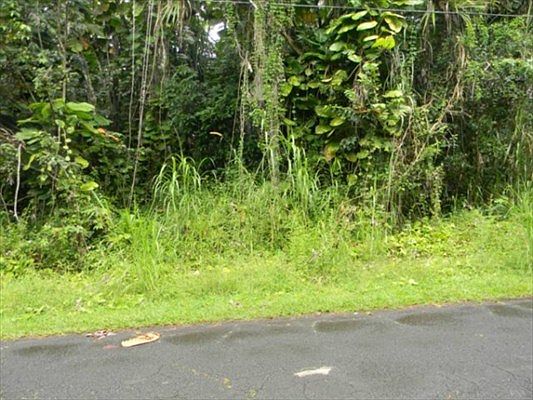 1st image of N Ono St