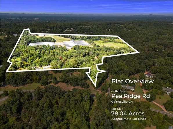 6770 Pea Ridge Rd, Cumming, GA 30506