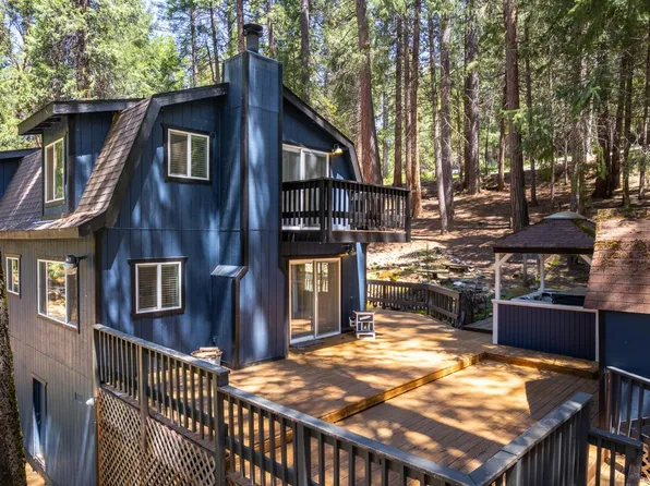 16199 Pioneer Creek Rd, Pioneer, CA 95666