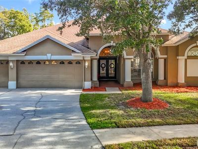 5105 Lady Rose Ct, Lutz, FL, 33558