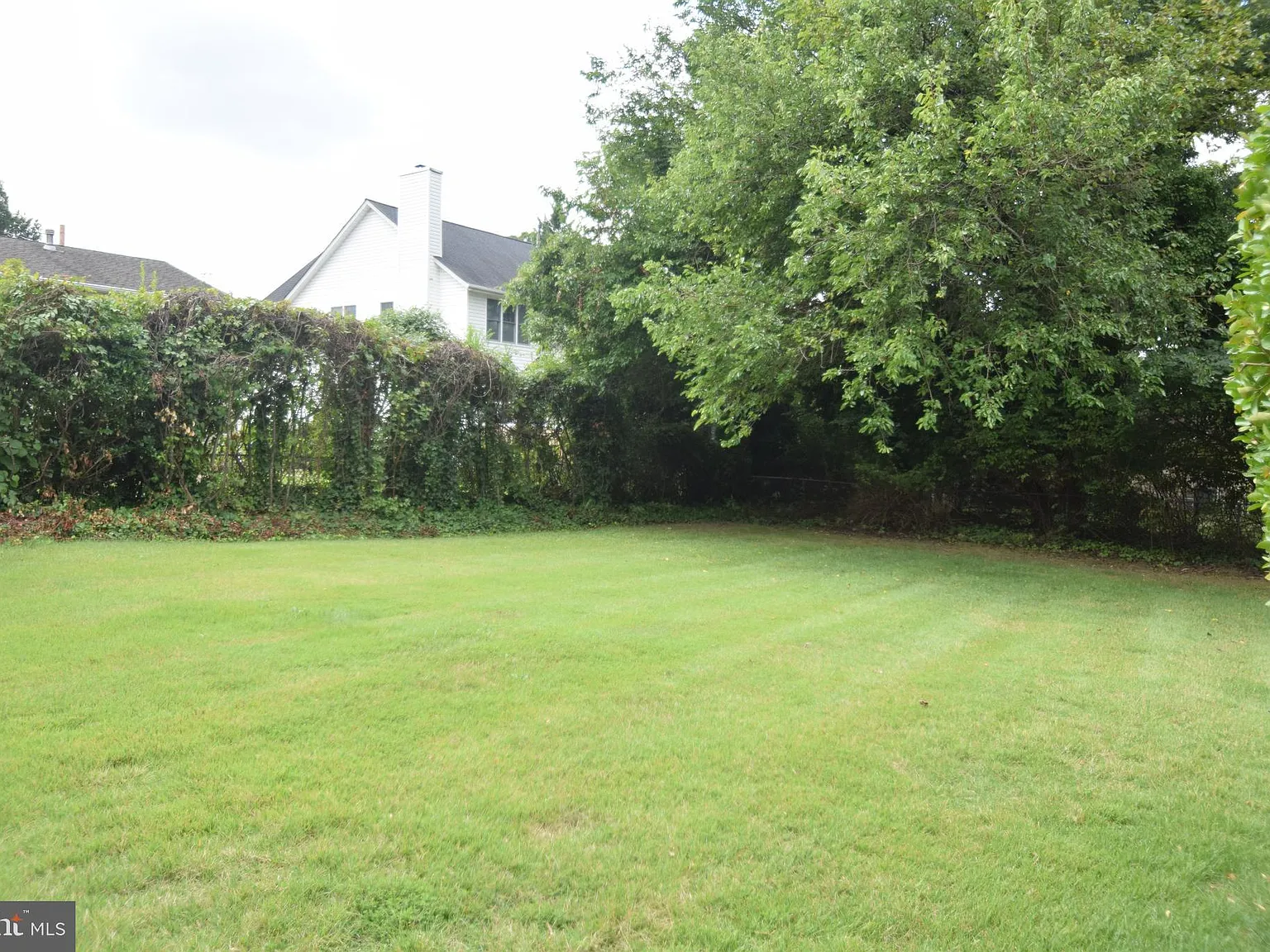3 bed, 1557 sqft, $4,500 — Photo 4