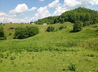 2100 Buffalo Hollow Rd, Castlewood, VA 24224