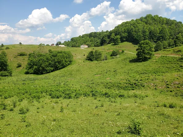 2100 Buffalo Hollow Rd, Castlewood, VA 24224