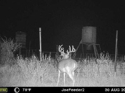 County Road 124, Paducah, TX, 79248