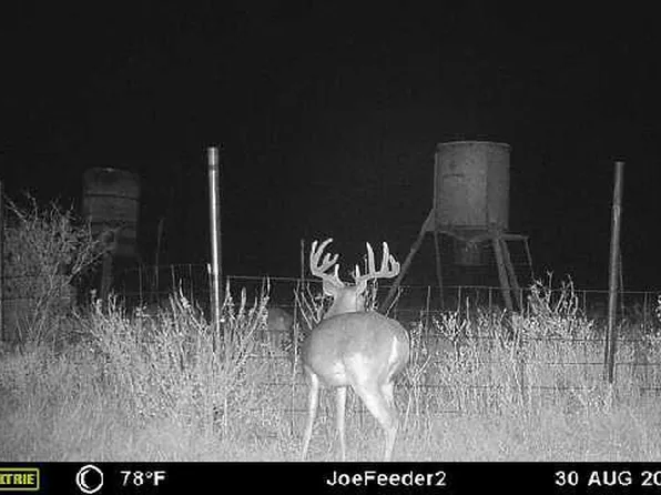 County Road 124, Paducah, TX 79248