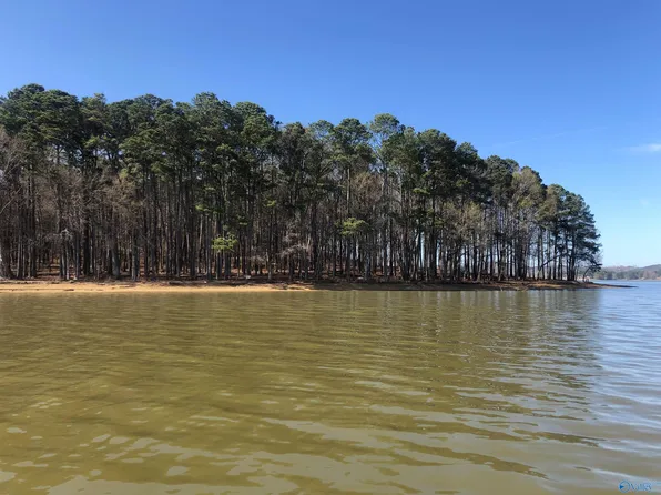 15 Little River Lndg, Cedar Bluff, AL 35959