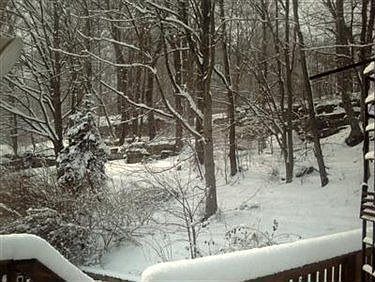 2nd image of 1134 Waldo Way