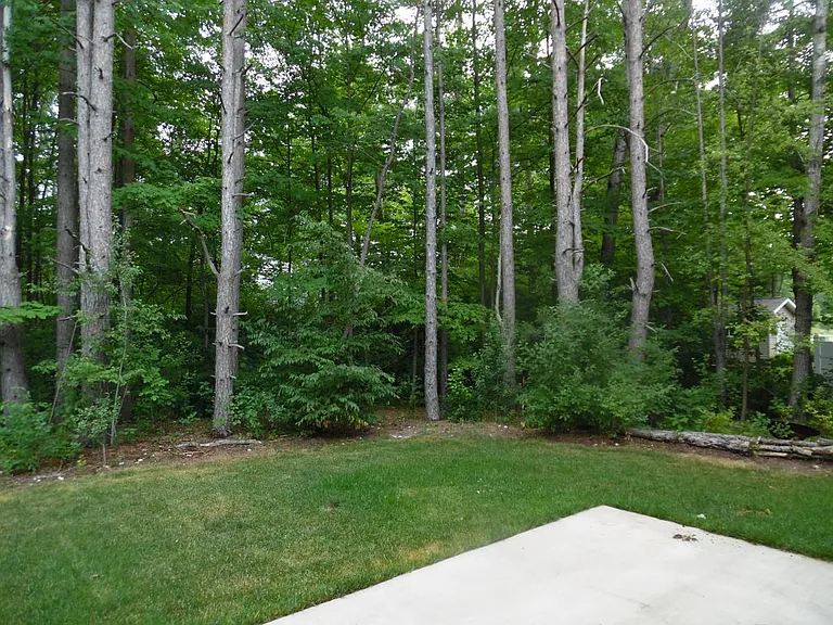 Semi Private backyard