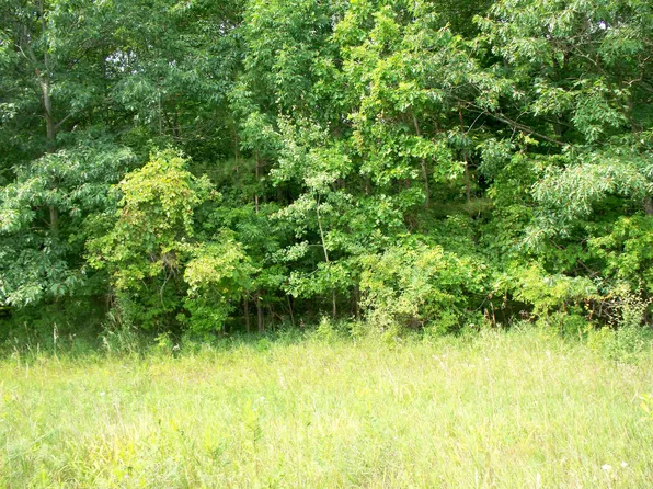 Mac Arthur Dr, Coleman, WI 54112