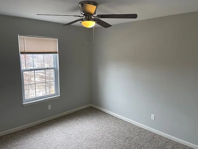 2 bed, 800 sqft, $1,000 — Photo 2