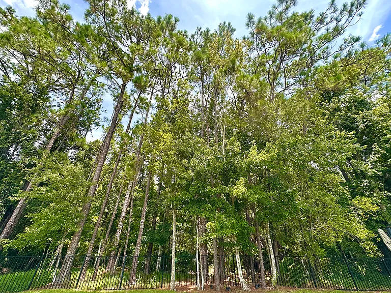 116 Oak Promenade Ct — Photo 17