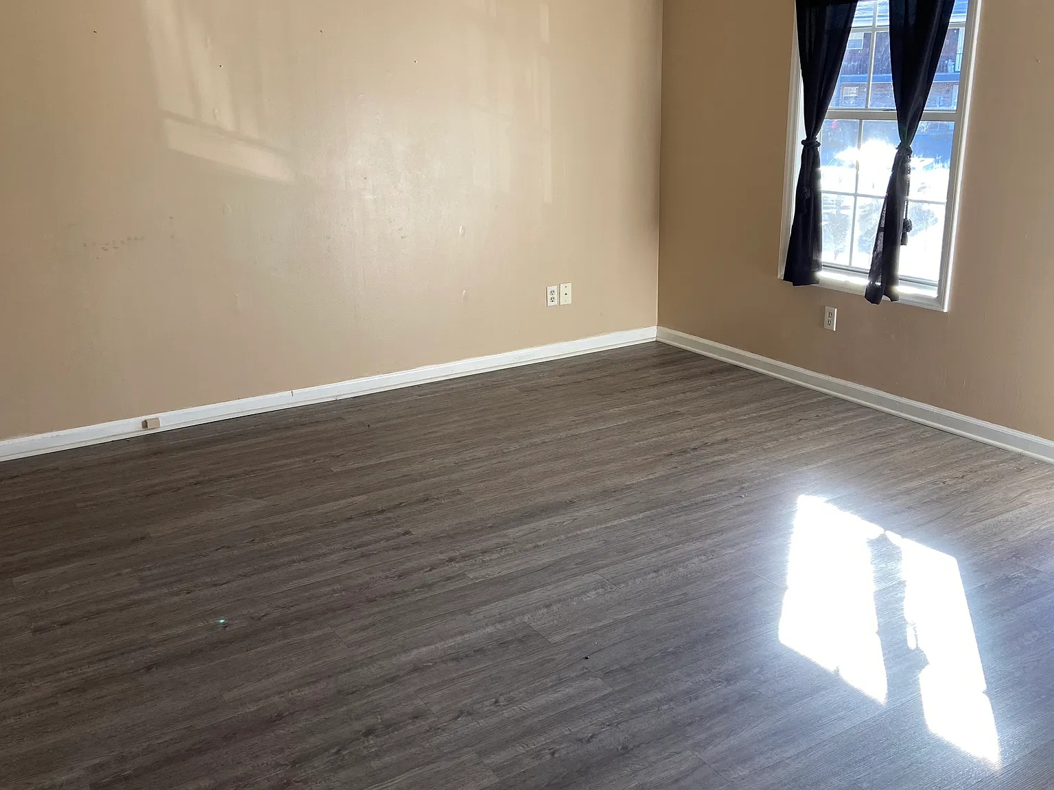 2 bed, $950 — Photo 3