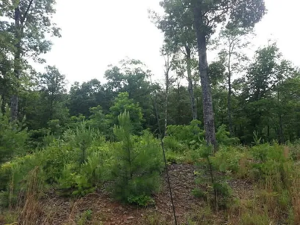 4A Trillium Hgts Dr, Hayesville, NC 28904