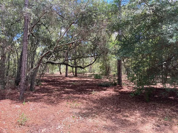 7568 Los Padres Ave, Keystone Heights, FL 32656