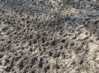 251 Beecher Springs Rd, Pomona Park, FL 32181