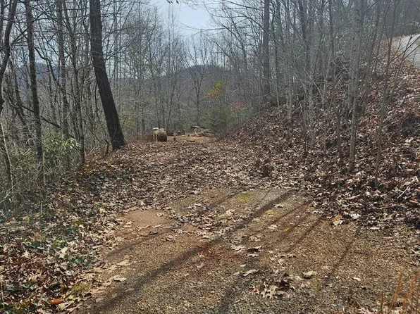 197 Plainview Rdg, Sylva, NC 28779