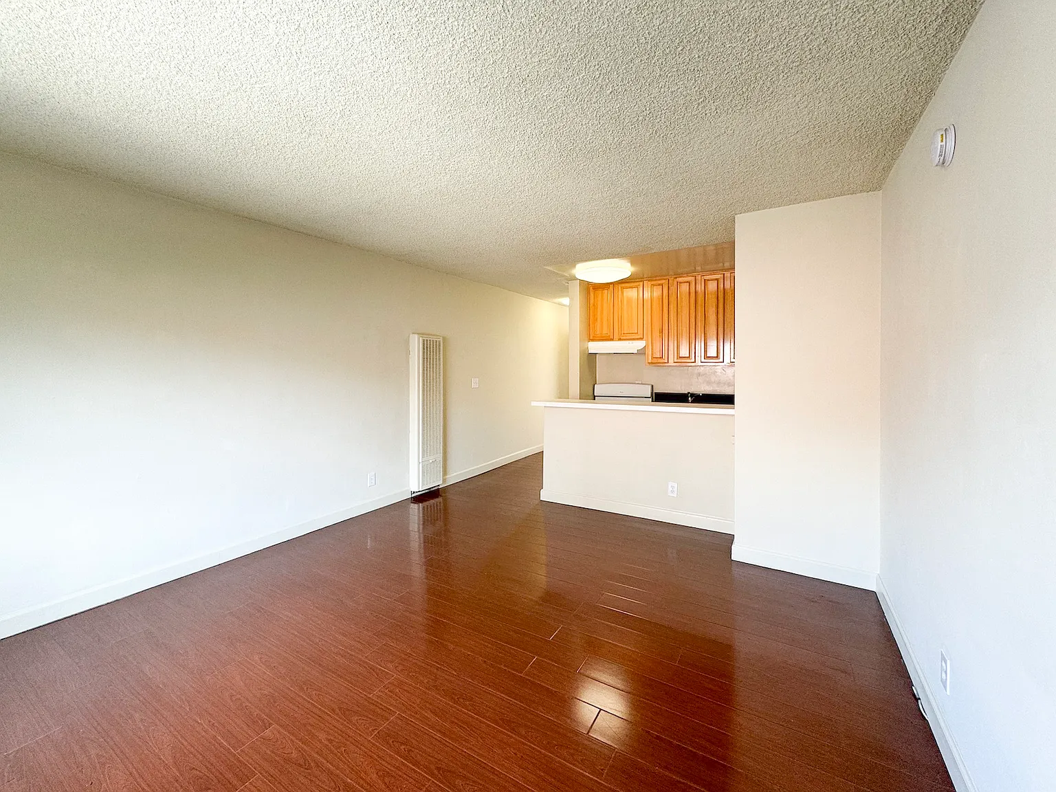 Studio, 380 sqft, $1,445 — Photo 2