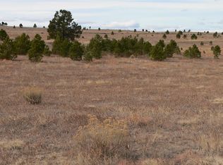 38451 Ridge Rd, Agate, CO 80101