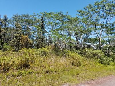 8 Avenue, Keaau, HI, 96749