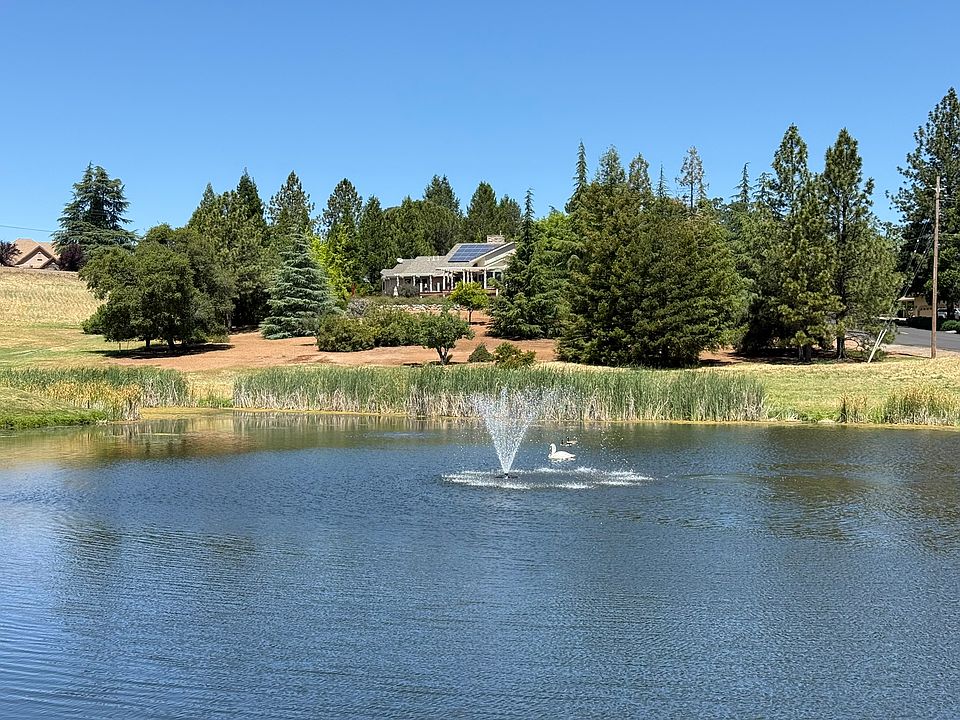 beautiful pond