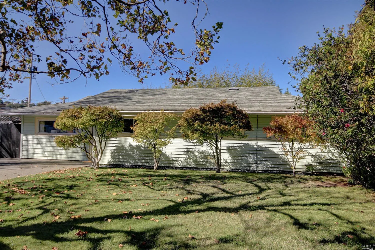 75 Harriet Way photo 1