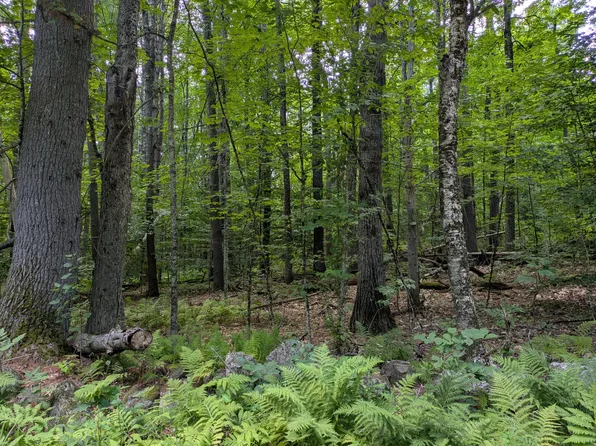 Lot 121 Old Country Way, Limerick, ME 04048