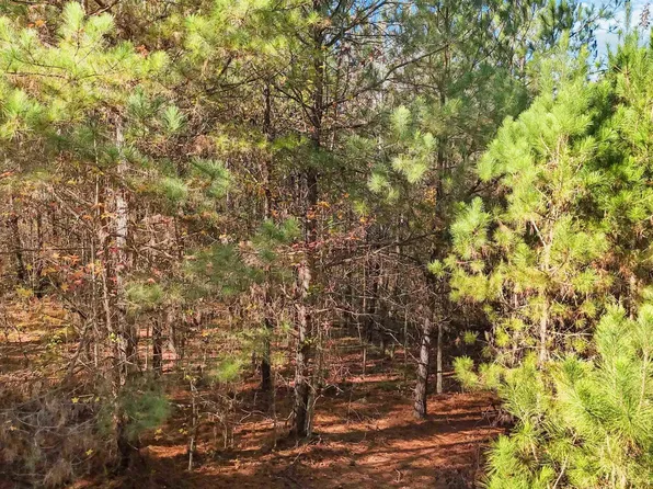 3590 Lindsey Loop Rd, Bessemer, AL 35022