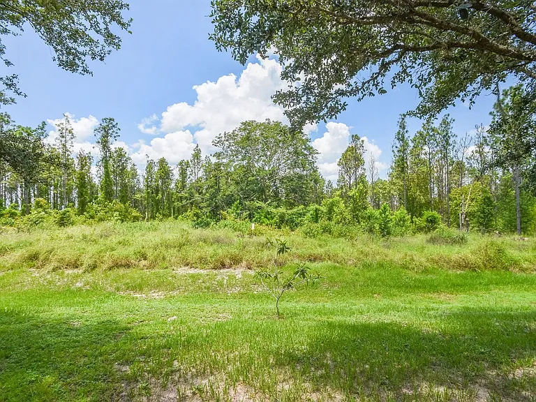 10438 Vista Pines Loop — Photo 23