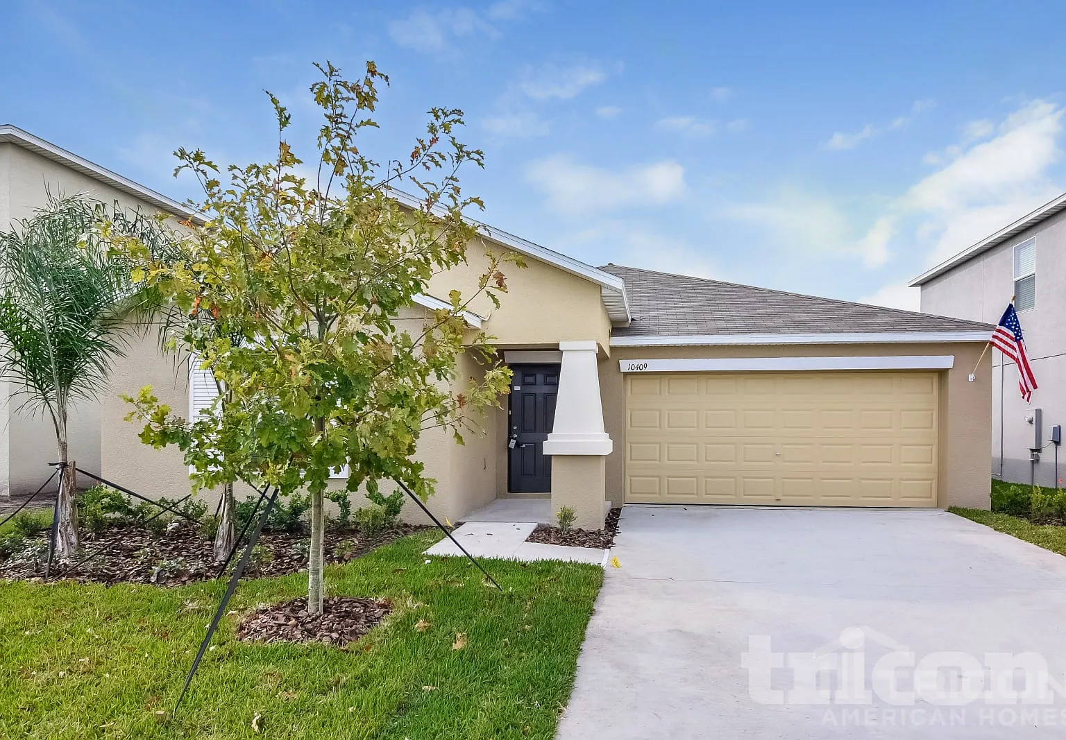 10409 Fairy Moss Lane Riverview FL — Photo 1