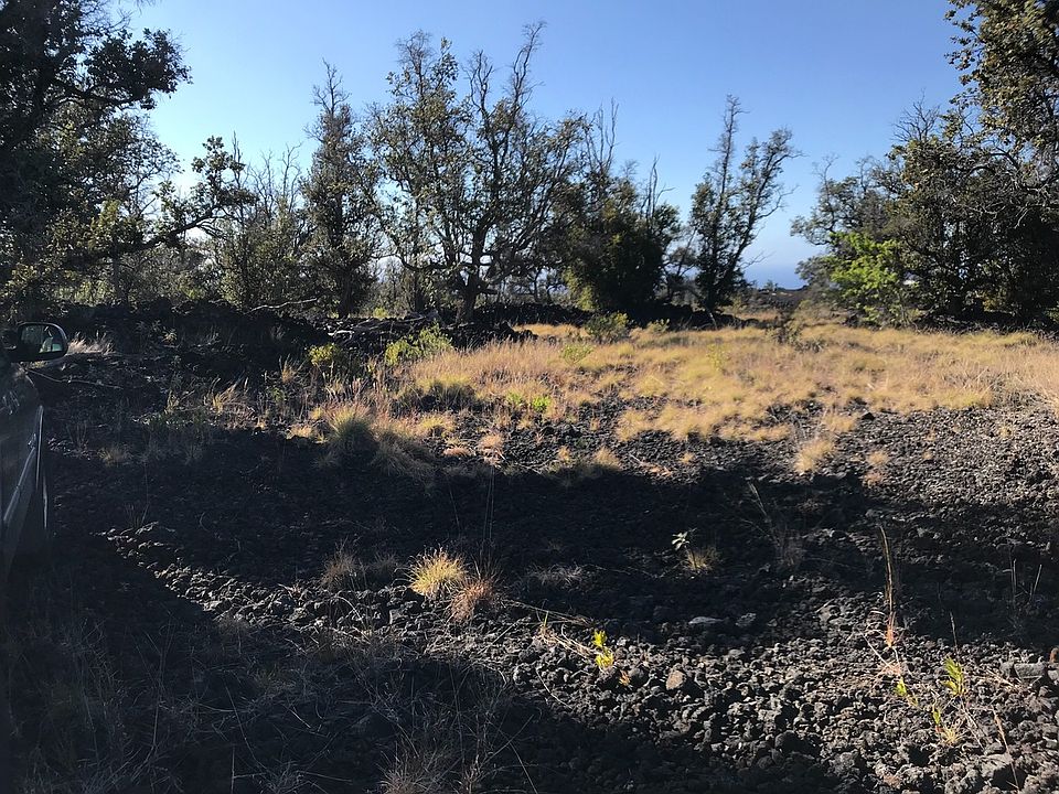 2nd image of 92 Macadamia Dr Lot 43