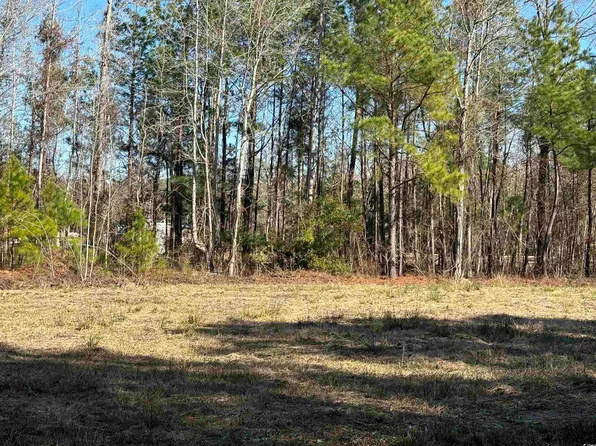 TBD Red Breast Ct. Lot 23 Locust Tree, Gresham, SC 29546
