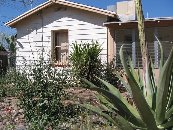 East side bedroom. Agave in bloom.