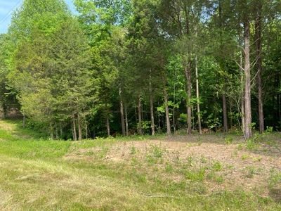 LOT 3 Willow Grove Hwy, Allons, TN, 38541