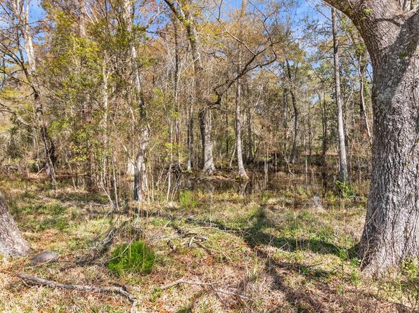 701 Russell Rd, Samson, AL 36477