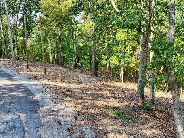 165 Grace Ln, Eva, TN 38333