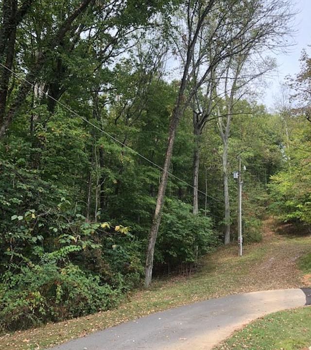 2nd image of Shelby Ave