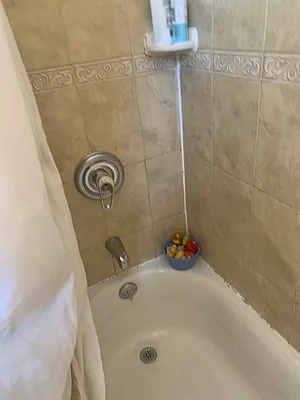 Rented by Queens Apartments Realty LLC | media 32