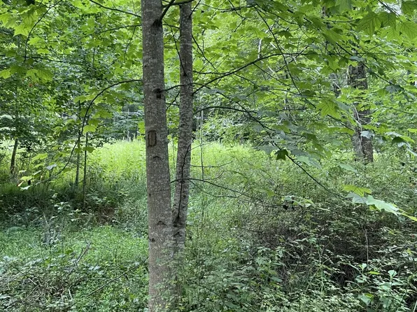 Wilson Rd, Victor, WV 25938