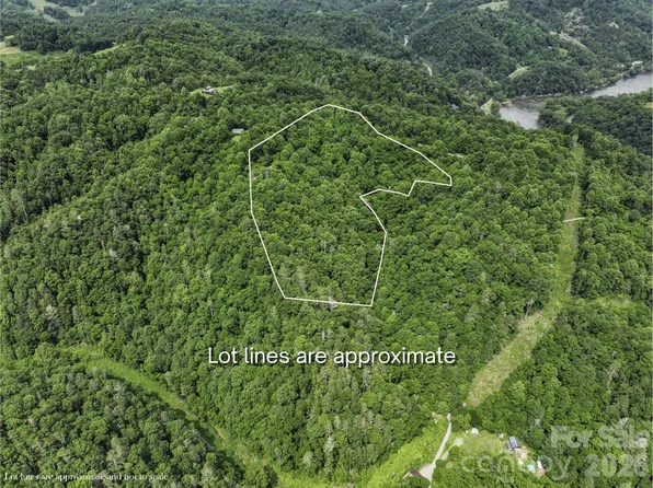 555 Logans Ridge Dr, Marshall, NC 28753