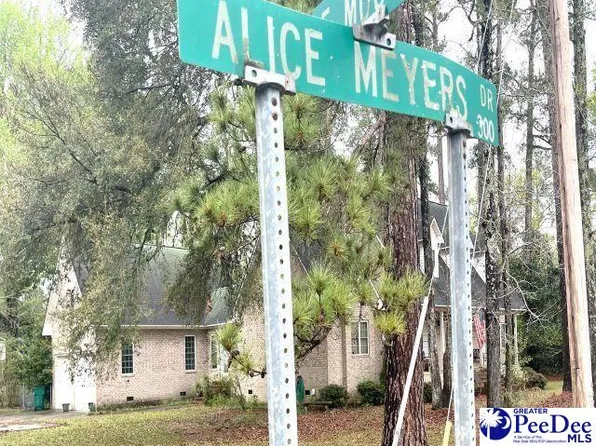 TRACT 3 Alice Myers Dr, Olanta, SC 29114