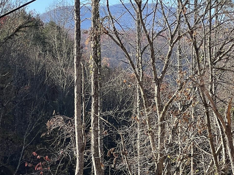 1st image of LOT Four Reba Ln