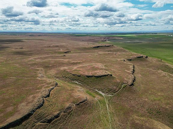 5th image of Quinto Rd