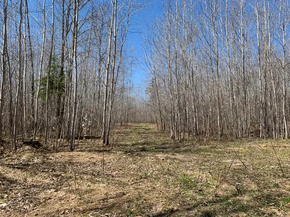 0 County Road 459, Mc Millan, MI 49853