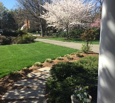 3rd image of 1591 Chapel Hill Dr