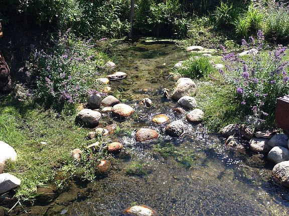 Pond and springs