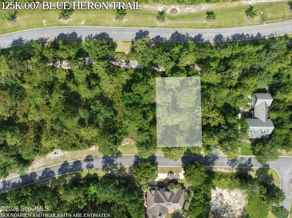 7 Blue Heron Trl, Waverly, GA 31565