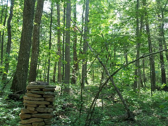 Mix of wooded and open land