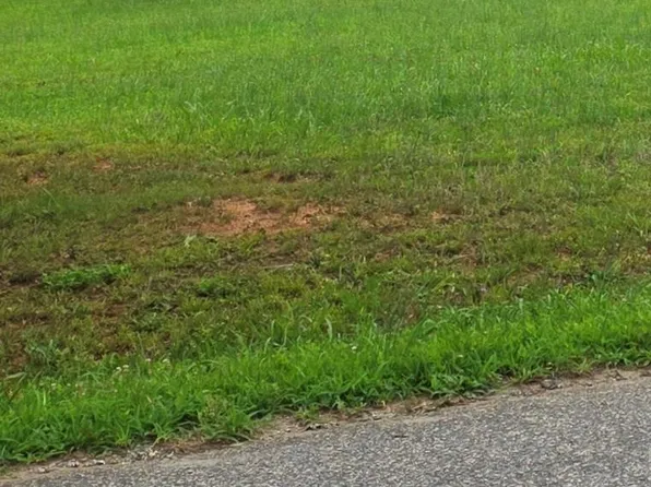 177 Con Lee Dr #9396, Olin, NC 28660